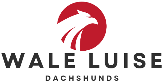 WALE LUISE DACHSHUNDS